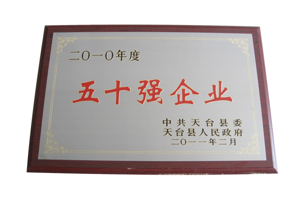 2010年五十強企業(yè)