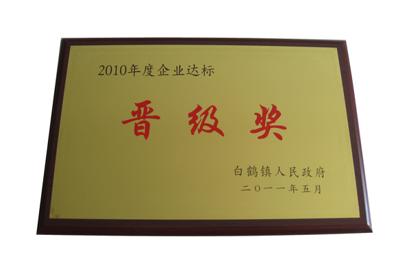 2010年企業(yè)達標晉級獎