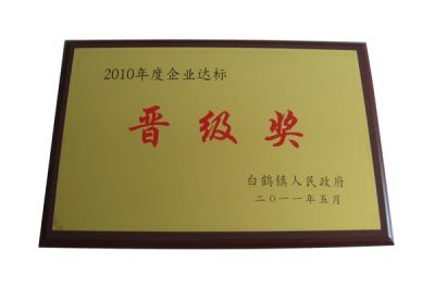 2010年企業(yè)達(dá)標(biāo)晉級獎(jiǎng)